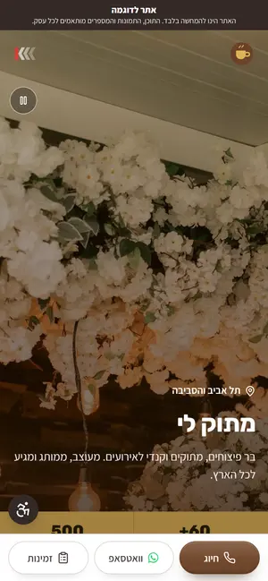 אתר אינטרנט לדוגמה בנייד: ברי מתוקים ופיצוחים